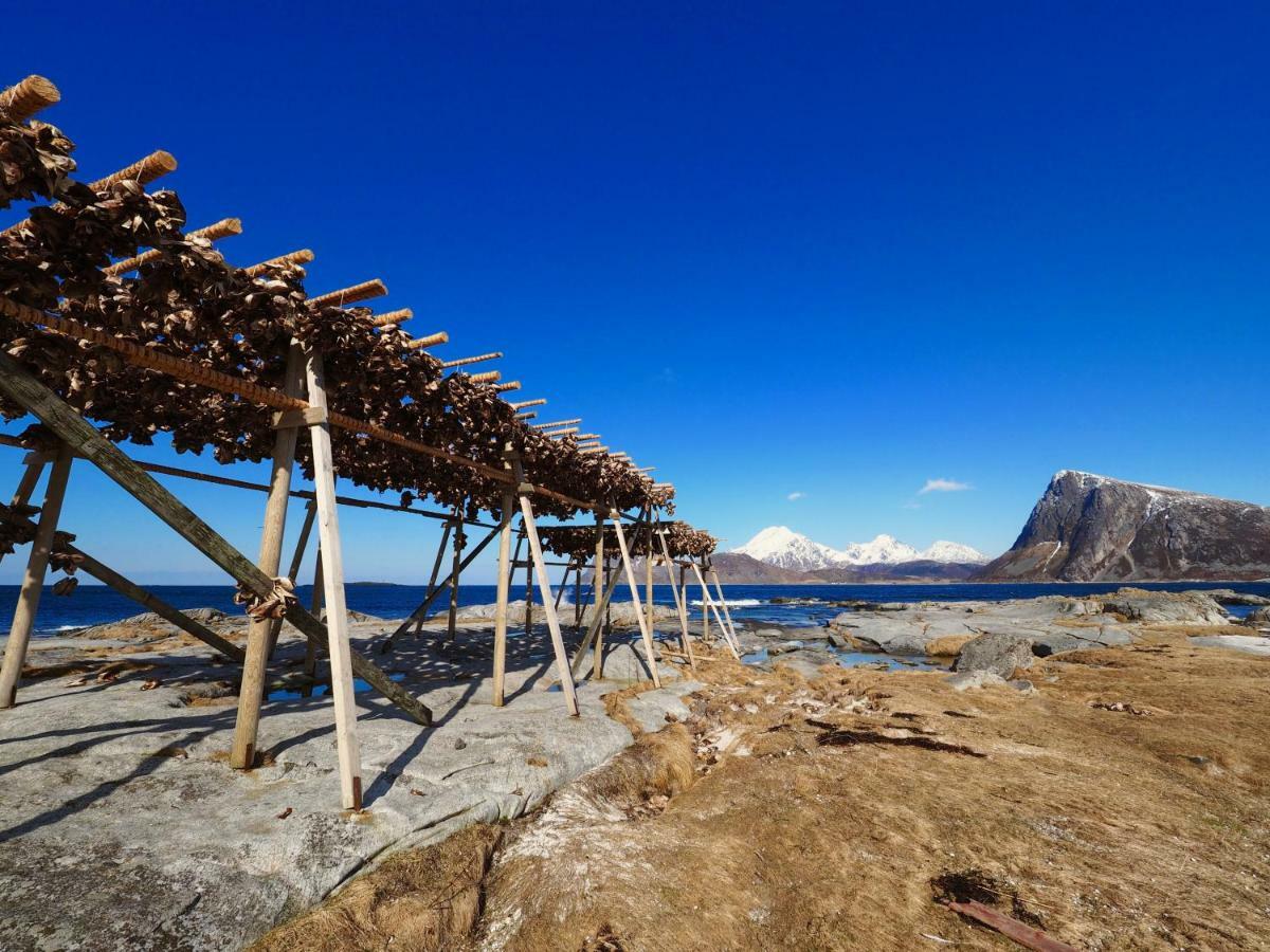 Midnight Sun View Lofoten Leknes Esterno foto